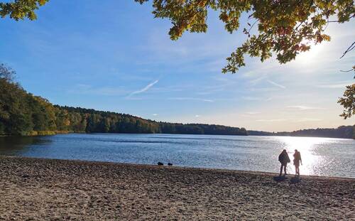 Der Naturstrand vom Grossensee - 