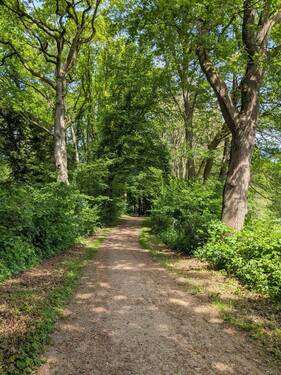 Ein Wanderweg am Naturschutzgebiet Billetal ist nur ca 10 Gehminuten entfernt - 