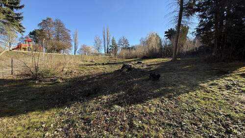 Gerodete Waldfläche auf dem Grundstück - 3 Zimmer Einfamilienhaus in Finne