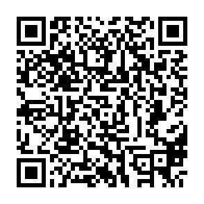 QR-Code - 