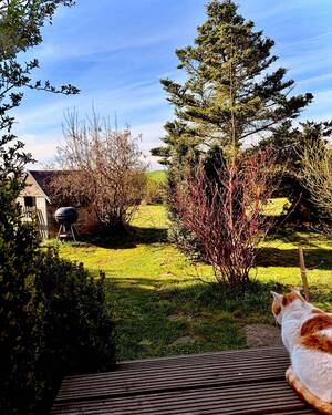 Garten - 