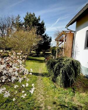 Garten - 