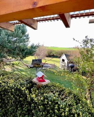 Gartenblick von der Terrasse aus - 