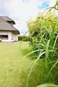 Ansicht Seite - 