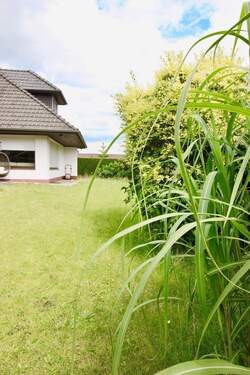 Ansicht Seite - 