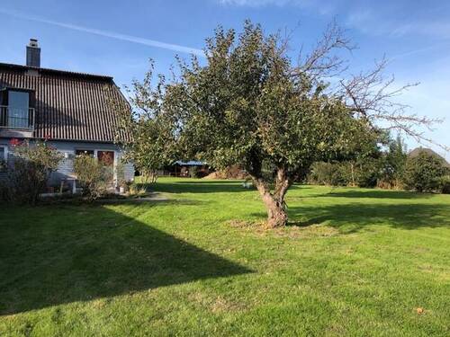 Blick in den Garten - 