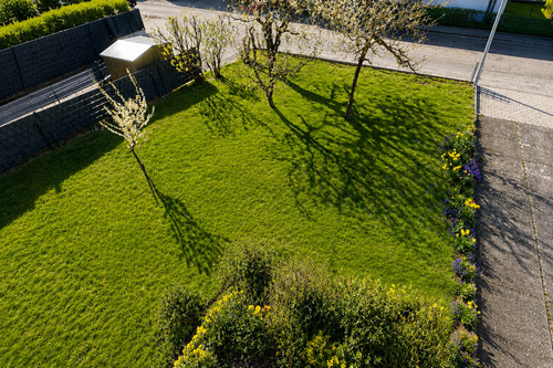 Blick in den Garten - 