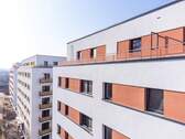 AM NEUEN PARK März 25 (23) - 