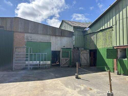 Hofbereich Stalle / Halle - Mehrfamilienhaus, Wohnhaus mit 133,00 m² in Eddelak zum Kaufen