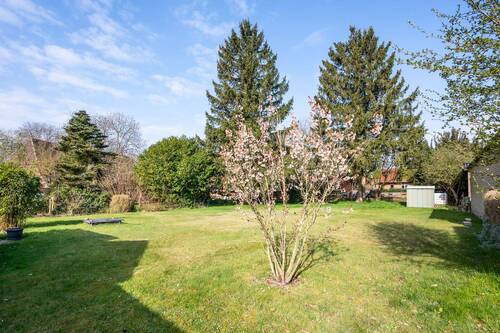 Blick aufs Grundstück - Grundstück in Stapelfeld