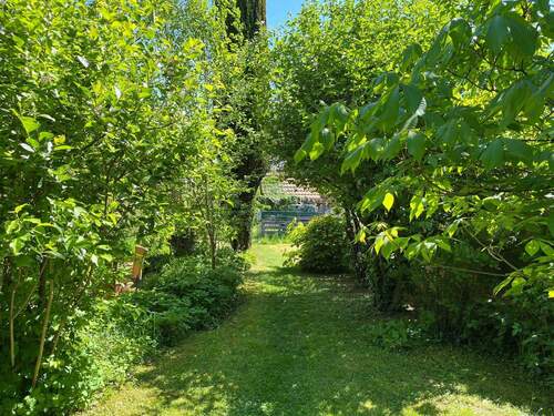 Gartenimpressionen - 