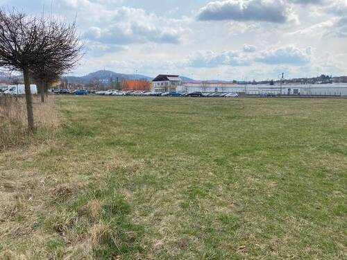 Blick Richtung Osten - 