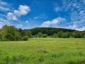 Ausblick - VIELSEITIG NUTZBARES BAUGRUNDSTÜCK IN ORTSRANDLAGE MIT HERRLICHEN AUSBLICK IN DIE NATUR