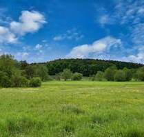 VIELSEITIG NUTZBARES BAUGRUNDSTÜCK IN ORTSRANDLAGE MIT HERRLICHEN AUSBLICK IN DIE NATUR - Stegaurach Mühlendorf