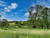 Ausblick - Grundstück zum Kaufen in Stegaurach