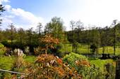 Gartenansicht-3 - 