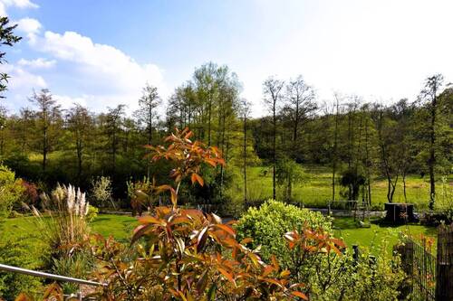 Gartenansicht-3 - 