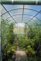 Gewächshaus (2) - 