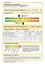 Energieausweis - 