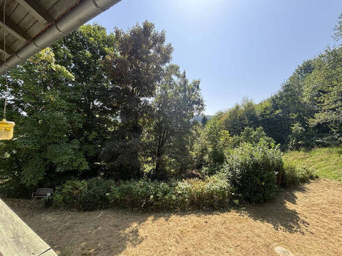 Bild26 - 
