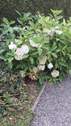 Bild 27 - 