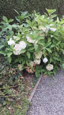 Bild 27 - 