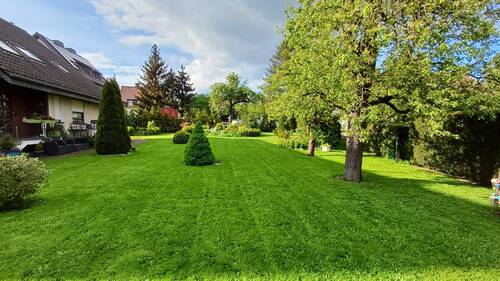 Gartenanlage ca. 1000 qm - 