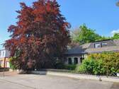 Front zur Strasse - 