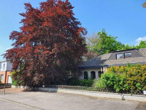 Front zur Strasse - 