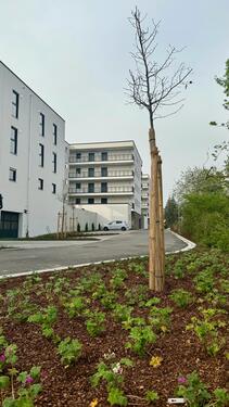 Weißgelände Fotos (3).jpeg - Neubau-Eigentumswohnungen in 93133 Burglengenfeld in den Spitalgärten teilmöbliert mit Südwest Balkon