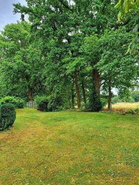 grüne Umgebung zwischen den Häusern.jpg - 3 Zimmer Etagenwohnung zum Kaufen in Bischofswerda