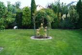 top gepflegter Garten - 