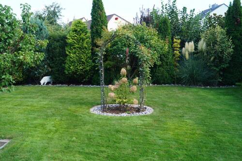 top gepflegter Garten - 
