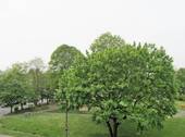 Aussicht - 