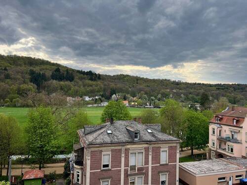 Blick über die Au - 4 Zimmer Etagenwohnung in Bad Kissingen