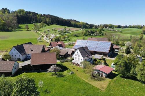 Idyllische Lage mitten im Grünen - 8 Zimmer Einfamilienhaus in Ostrach