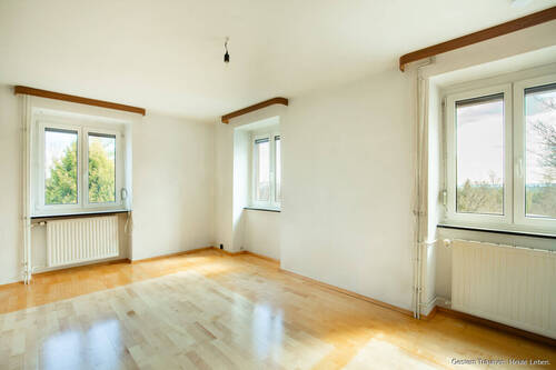 Zimmer - 