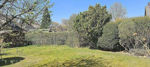 Garten / Blick Beerensträucher - 