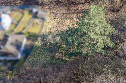 Draufsicht_02 - Grundstück in Wetzlar / Nauborn zum Kaufen