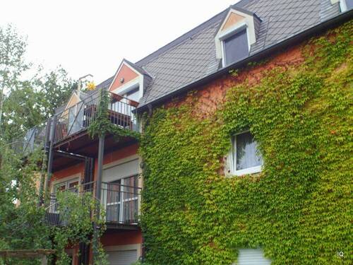 Ansicht Seitengebäude - 