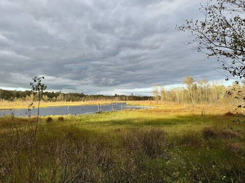 23_Wittmoor_Naturschutzgebiet - 