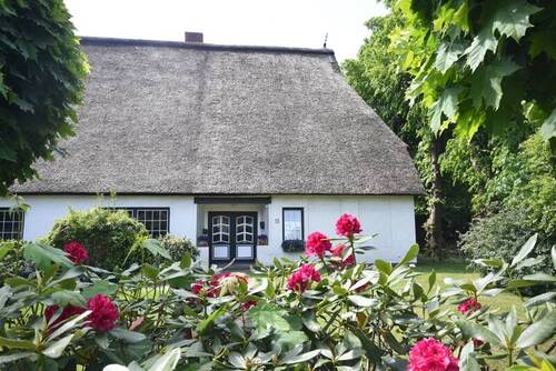Blick auf den Haupteingang - 