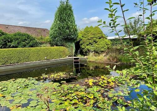Bild2 - 7 Zimmer Einfamilienhaus in Lankau