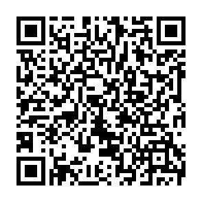QR-Code - 