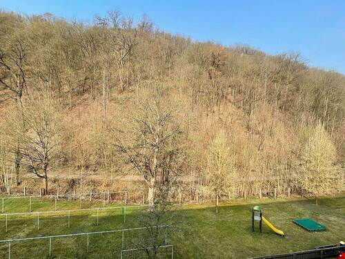 Ausblick Hofseite mit Stadtwald - 