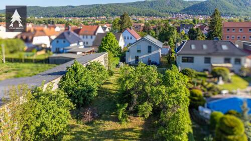 Luftaufnahme - 5 Zimmer Einfamilienhaus zum Kaufen in Thale