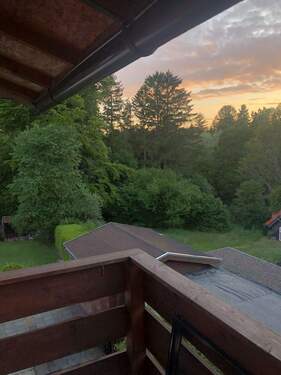 Blick in den Garten - 