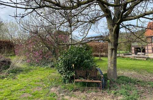 Gartenansicht - 