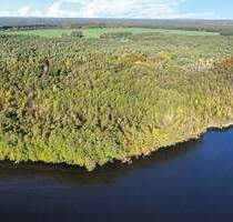 3,2 ha Forstliegenschaft - 22.000,00 EUR Kaufpreis, ca.  0,00 m² in Heidesee (PLZ: 15754) Blossin