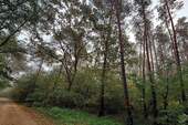 Wegansicht - 